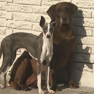 Meet your Posher, Isabel